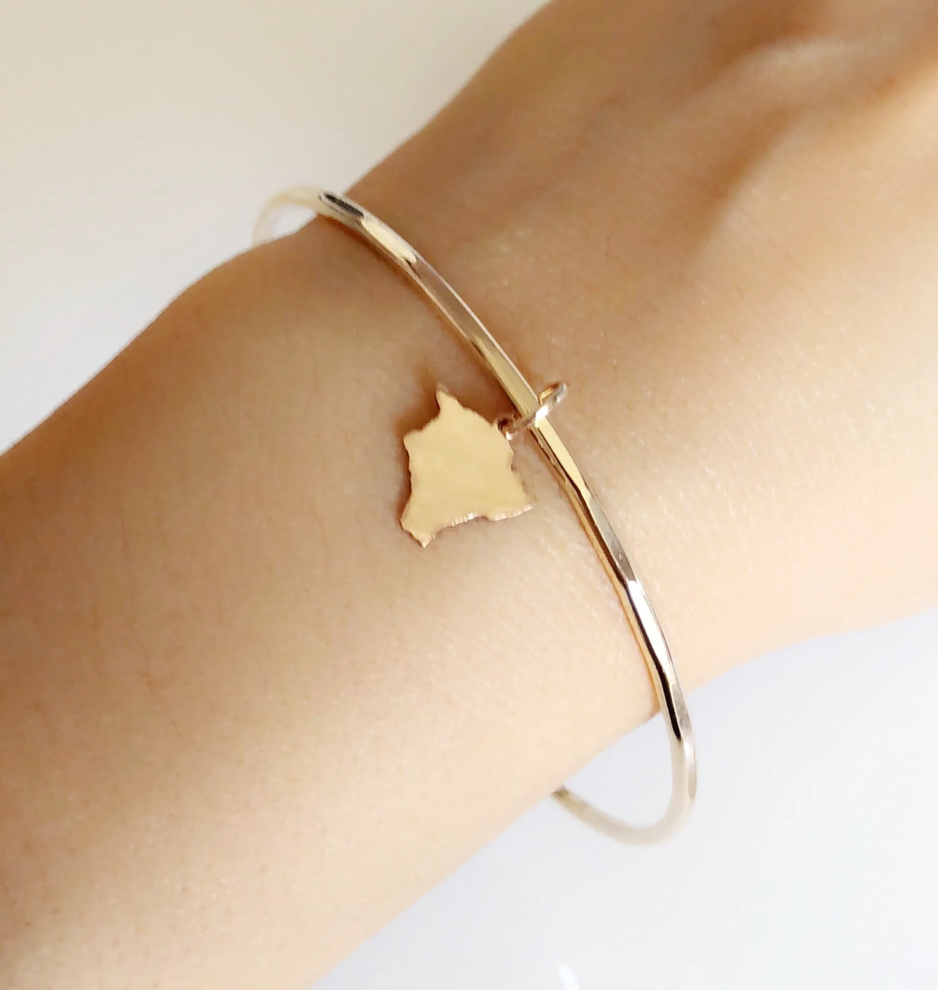 Big island charm bangle (B389)