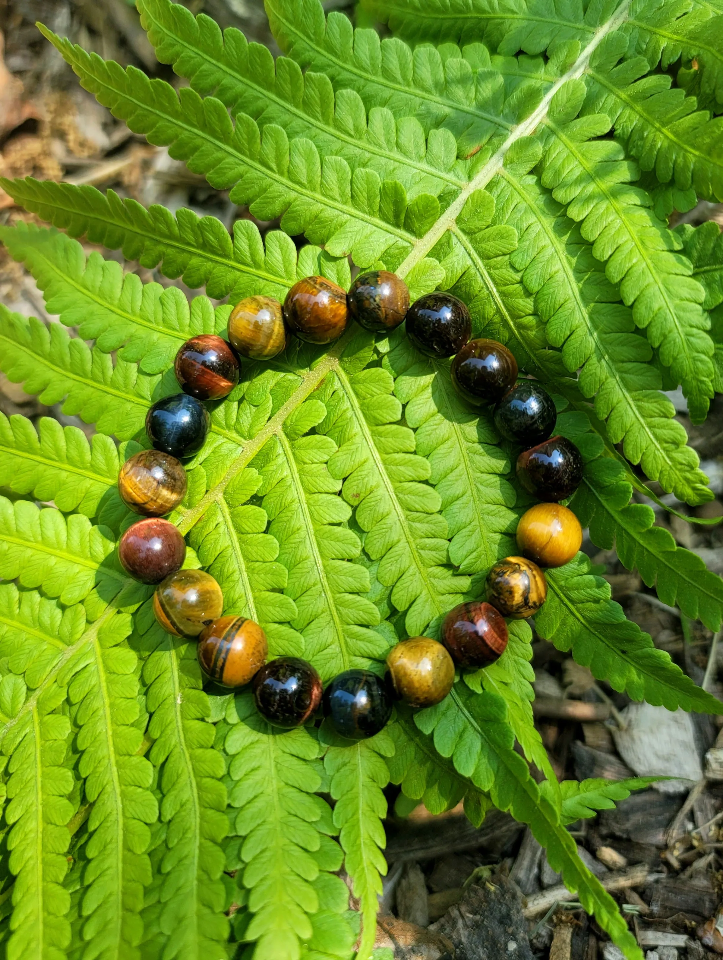 Eagle Eye Stretch Bracelet